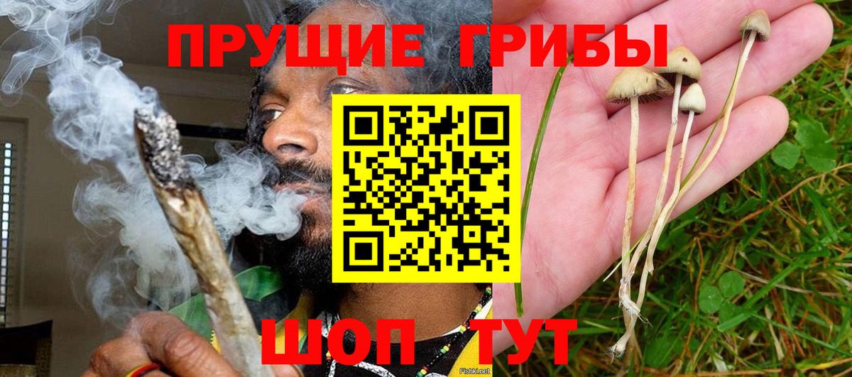 Псилоцибиновые грибы Psilocybine cubensis  Вход с VPN  Магадан 